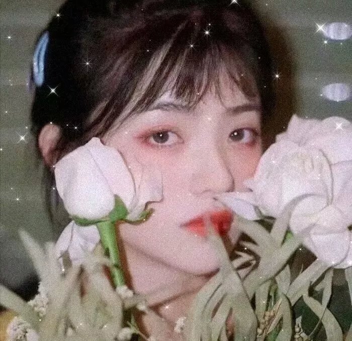 倩女仙缘